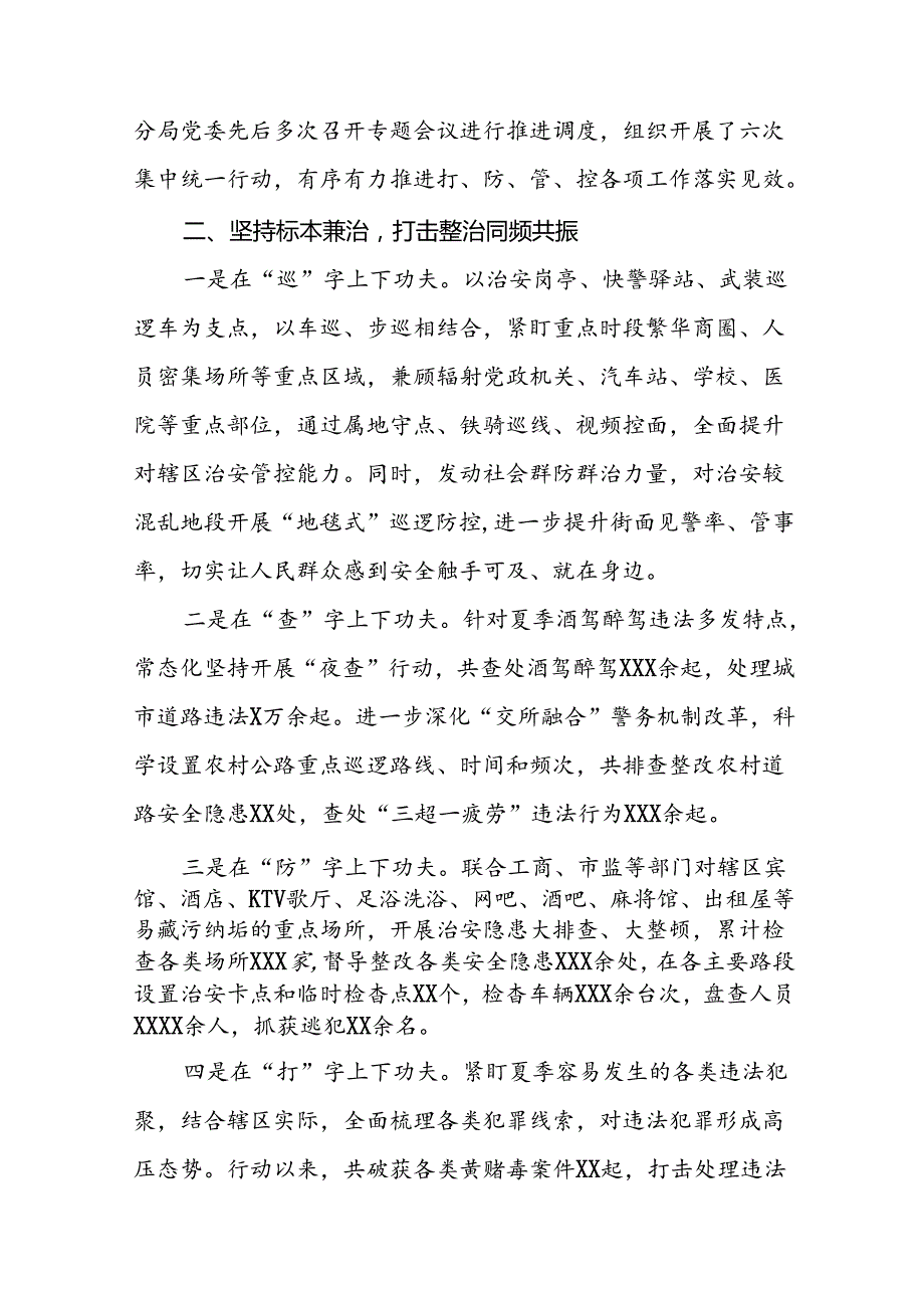 十二篇2024年夏季治安打击整治行动工作总结.docx_第3页