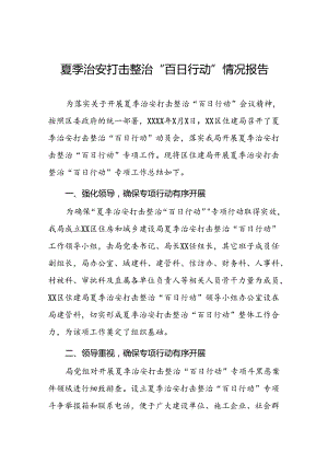 十八篇2024年夏季治安打击整治专项行动工作总结.docx