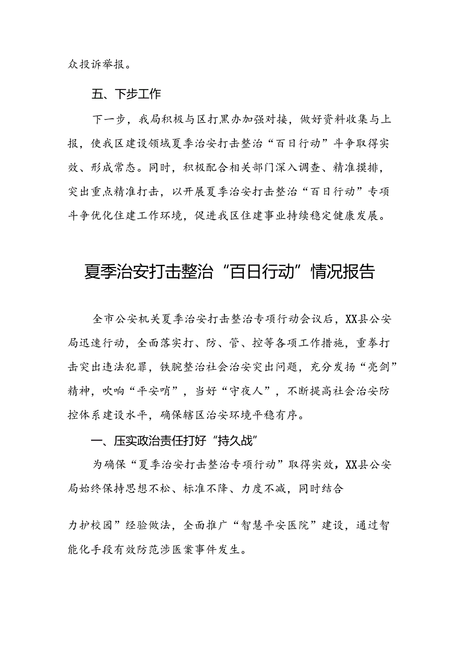 十八篇2024年夏季治安打击整治专项行动工作总结.docx_第2页