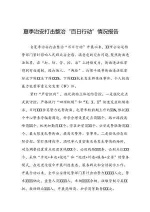 公安推进夏季治安打击整治“百日行动”总结(10篇).docx