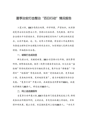 2024年夏季治安打击整治专项工作总结三篇.docx