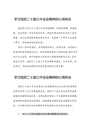 关于学习贯彻中国共产党第二十届中央委员会第三次全体会议精神的心得感悟16篇.docx