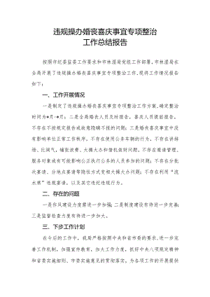 市某局违规操办婚丧喜庆事宜专项整治工作总结报告.docx