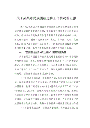 关于某某市民族团结进步工作情况的汇报.docx