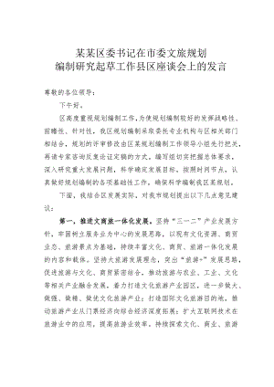 某某区委书记在市委文旅规划编制研究起草工作县区座谈会上的发言.docx