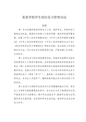 某某学校学生岗位实习管理办法.docx