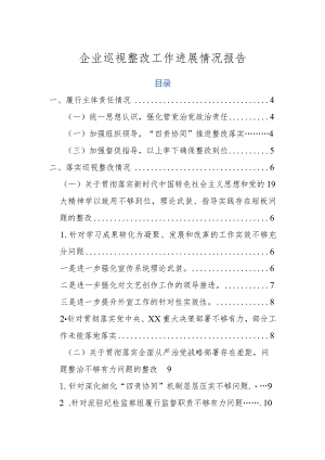 企业巡视整改工作进展情况报告.docx