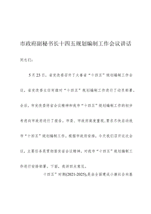 市政府副秘书长十四五规划编制工作会议讲话.docx