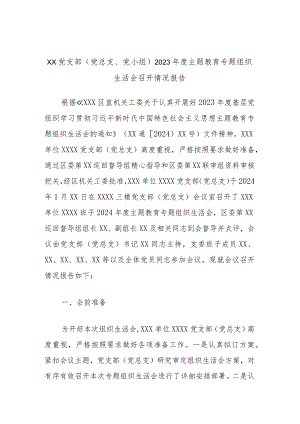 XX党支部（党总支、党小组）2023年度主题教育专题组织生活会召开情况报告.docx