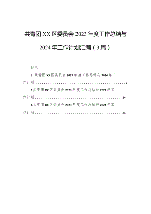 共青团区委员会2023年度工作总结与2024年工作计划汇编（3篇）.docx