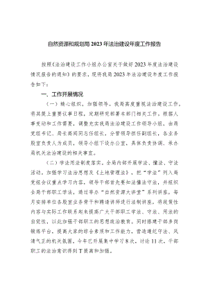 自然资源和规划局2023年法治建设年度工作报告（共5篇）.docx