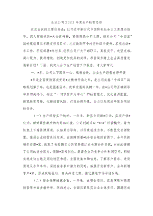 企业公司2023年度生产经营总结.docx