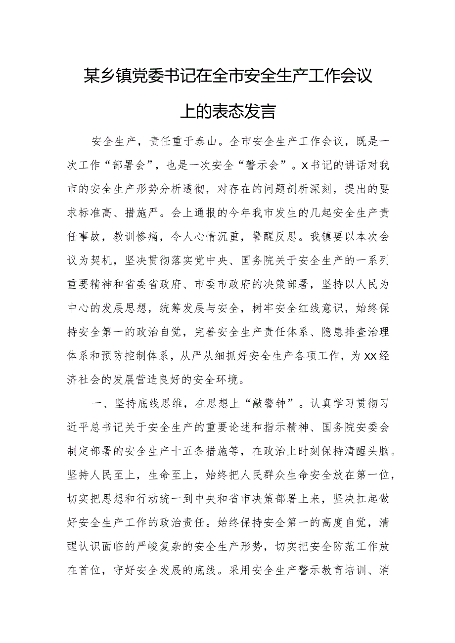 某乡镇党委书记在全市安全生产工作会议上的表态发言.docx_第1页