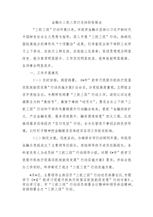 金融办三抓三促行总结经验做法.docx