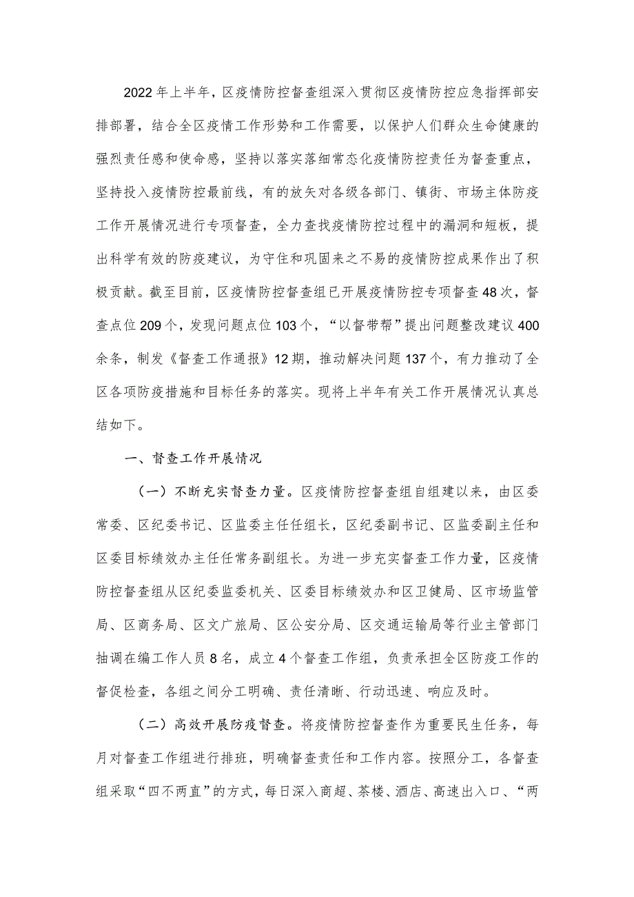 疫情防控督查组上半年工作总结.docx_第2页