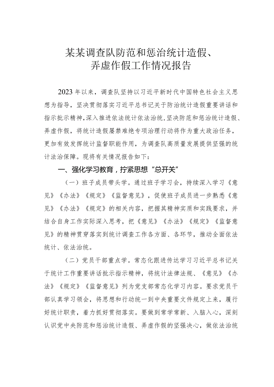 某某调查队防范和惩治统计造假、弄虚作假工作情况报告.docx_第1页