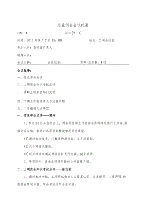 总监工程师例会纪要.docx