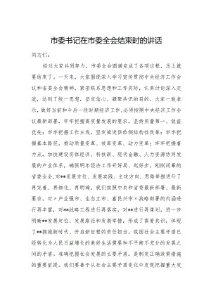 市委书记在市委全会结束时的讲1.docx