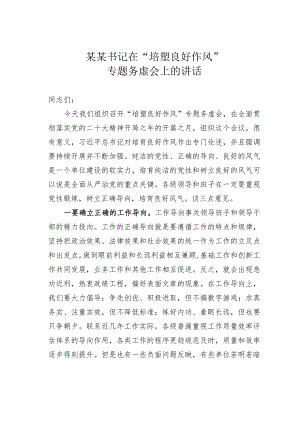 某某书记在“培塑良好作风”专题务虚会上的讲话.docx