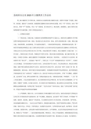 县政府办公室2023年主题教育工作总结.docx