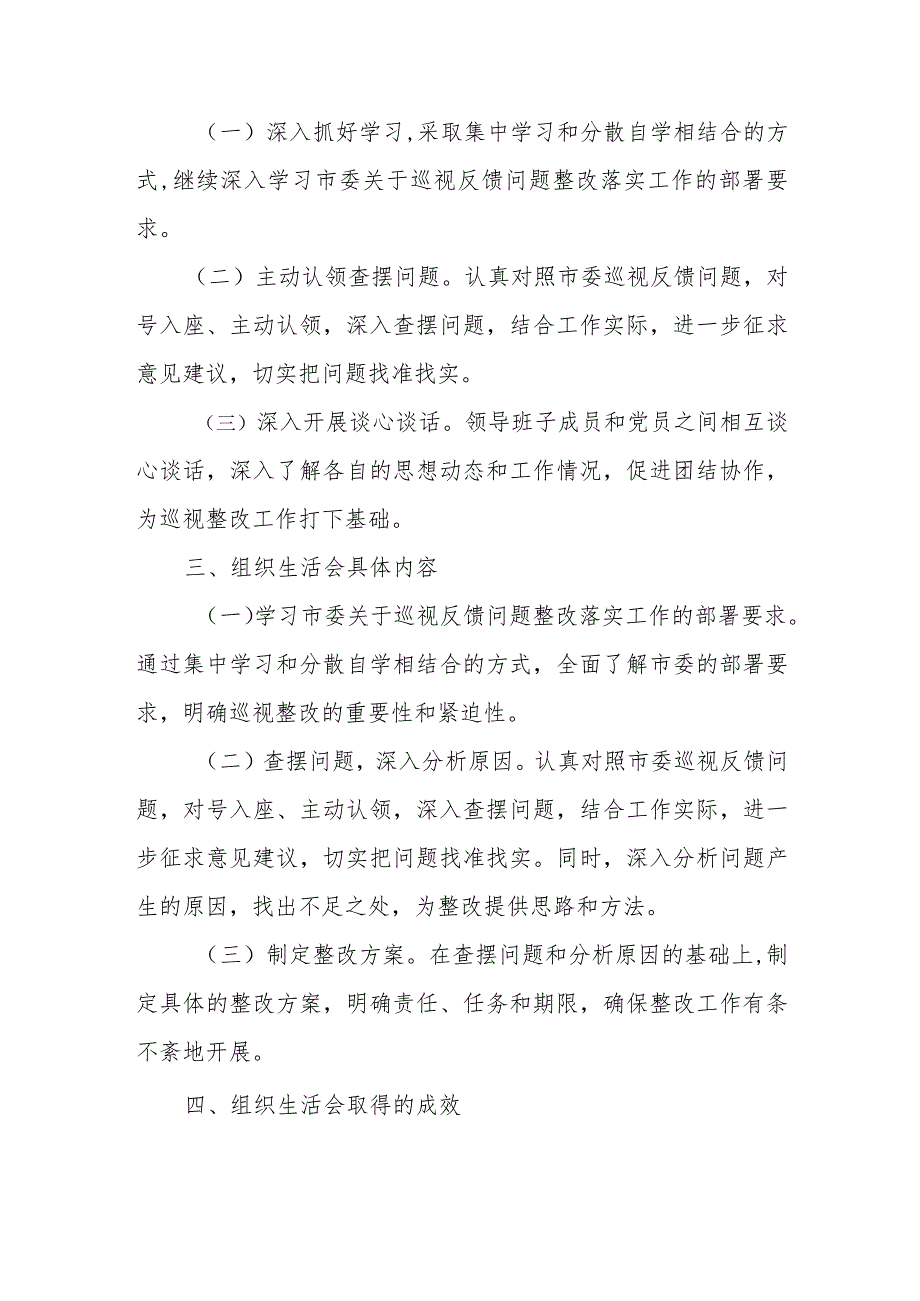 党支部关于巡察整改专题组织生活会情况报告.docx_第2页