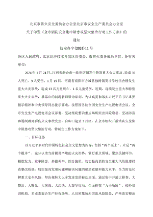 北京市关于印发《全市消防安全集中除患攻坚大整治行动工作方案》的通知（2024年）.docx