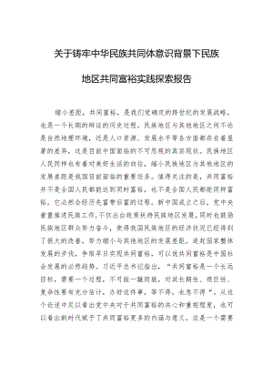 关于铸牢中华民族共同体意识背景下民族地区共同富裕实践探索报告.docx