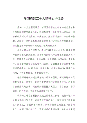 学习党的二十大会议精神心得体会范文集锦.docx