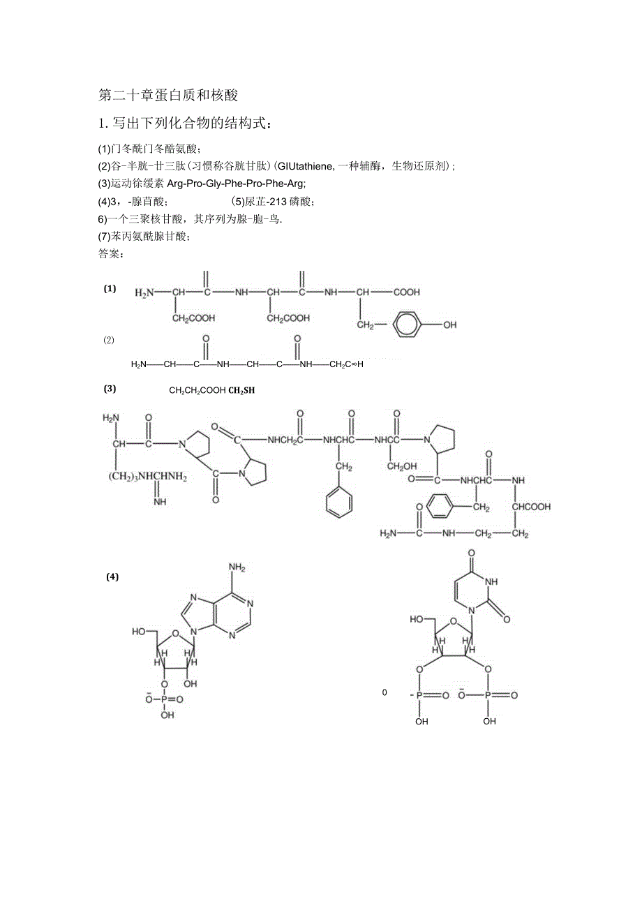 第二十章蛋白质和核酸.docx_第1页