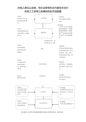 对用人单位以实物、有价证券等形式代替货币支付农民工工资等三类情形的处罚流程图.docx