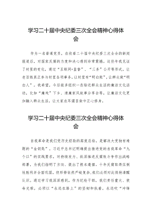 学习贯彻二十届中央纪委三次全会精神的心得体会发言稿二十篇.docx