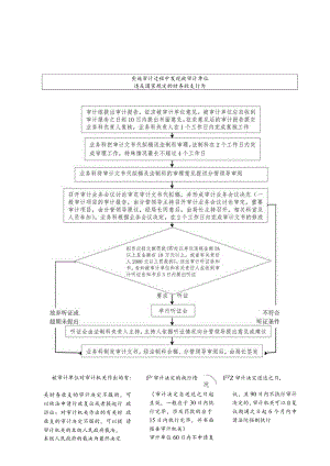 南安市审计局审计处罚流程图.docx