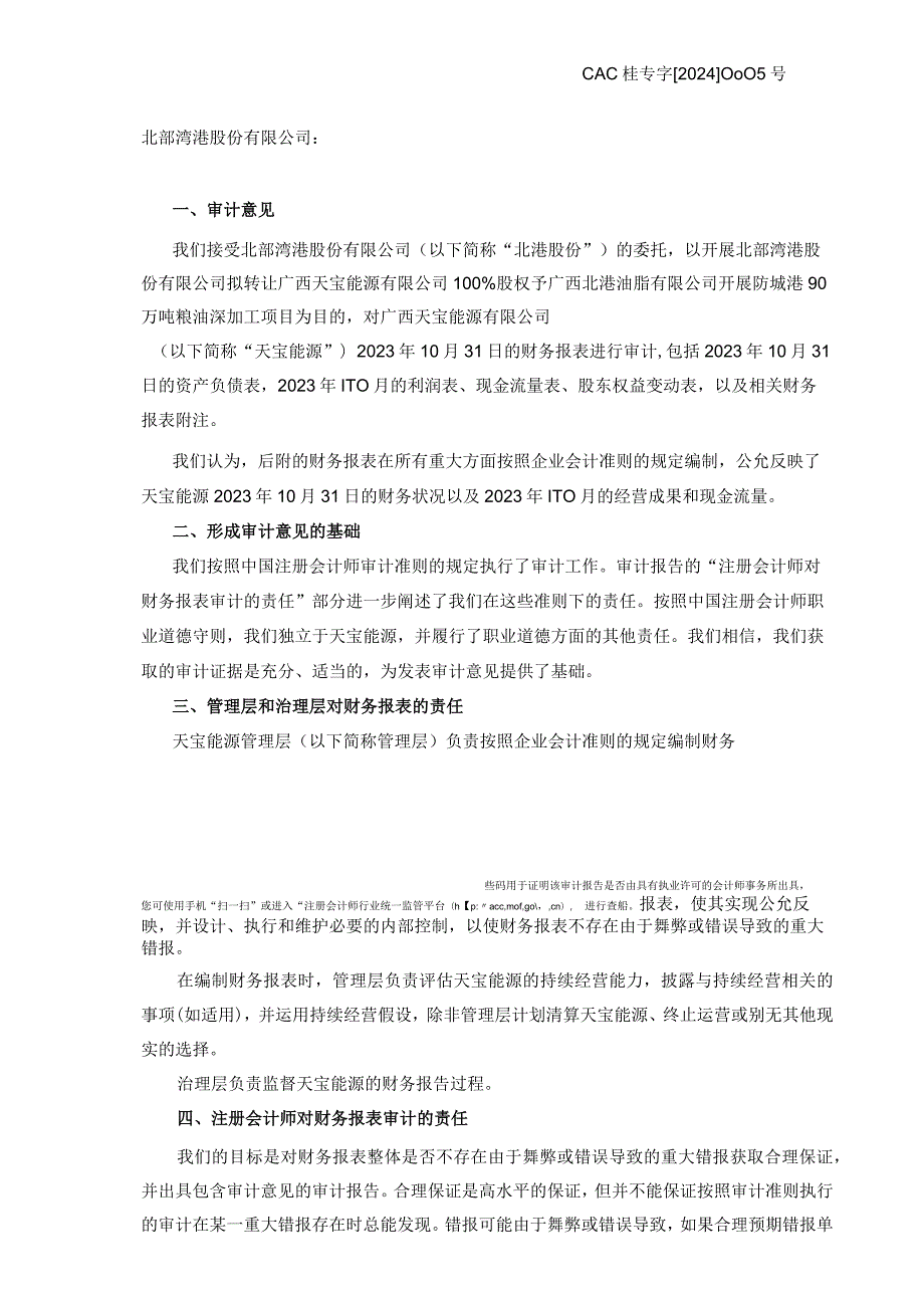 北部湾港：广西天宝能源有限公司2023年10月报表审计报告.docx_第2页