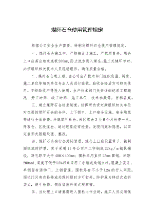 煤矸石仓使用管理规定.docx