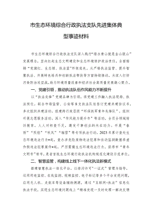 市生态环境综合行政执法支队先进集体典型事迹材料.docx