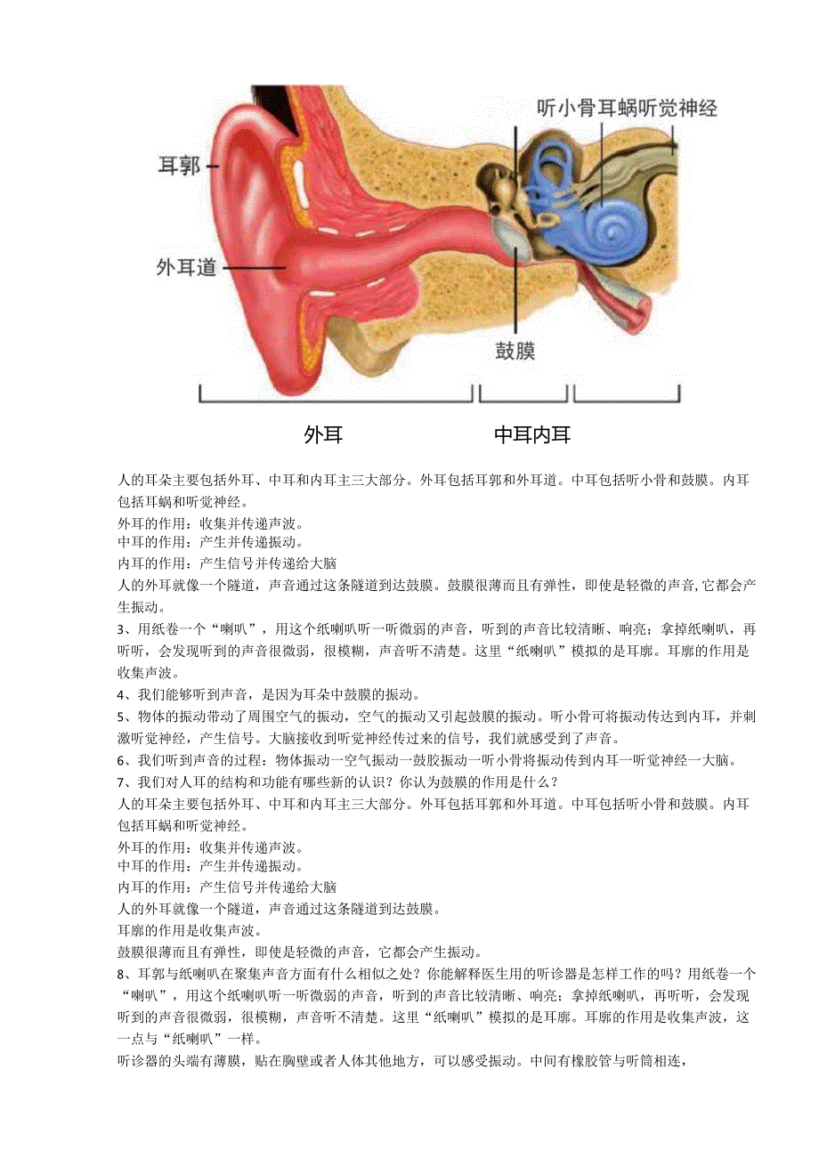 新教科版四年级上册科学声音知识点整理.docx_第3页