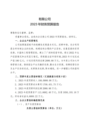 2023年财务预算报告.docx