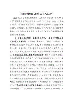 自然资源局2023年工作总结.docx