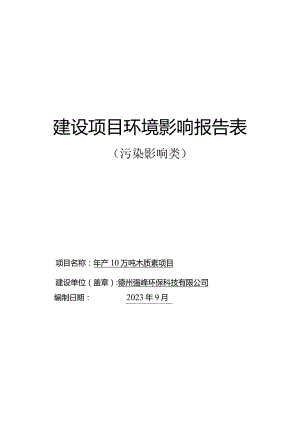 年产10万吨木质素项目环评报告表.docx