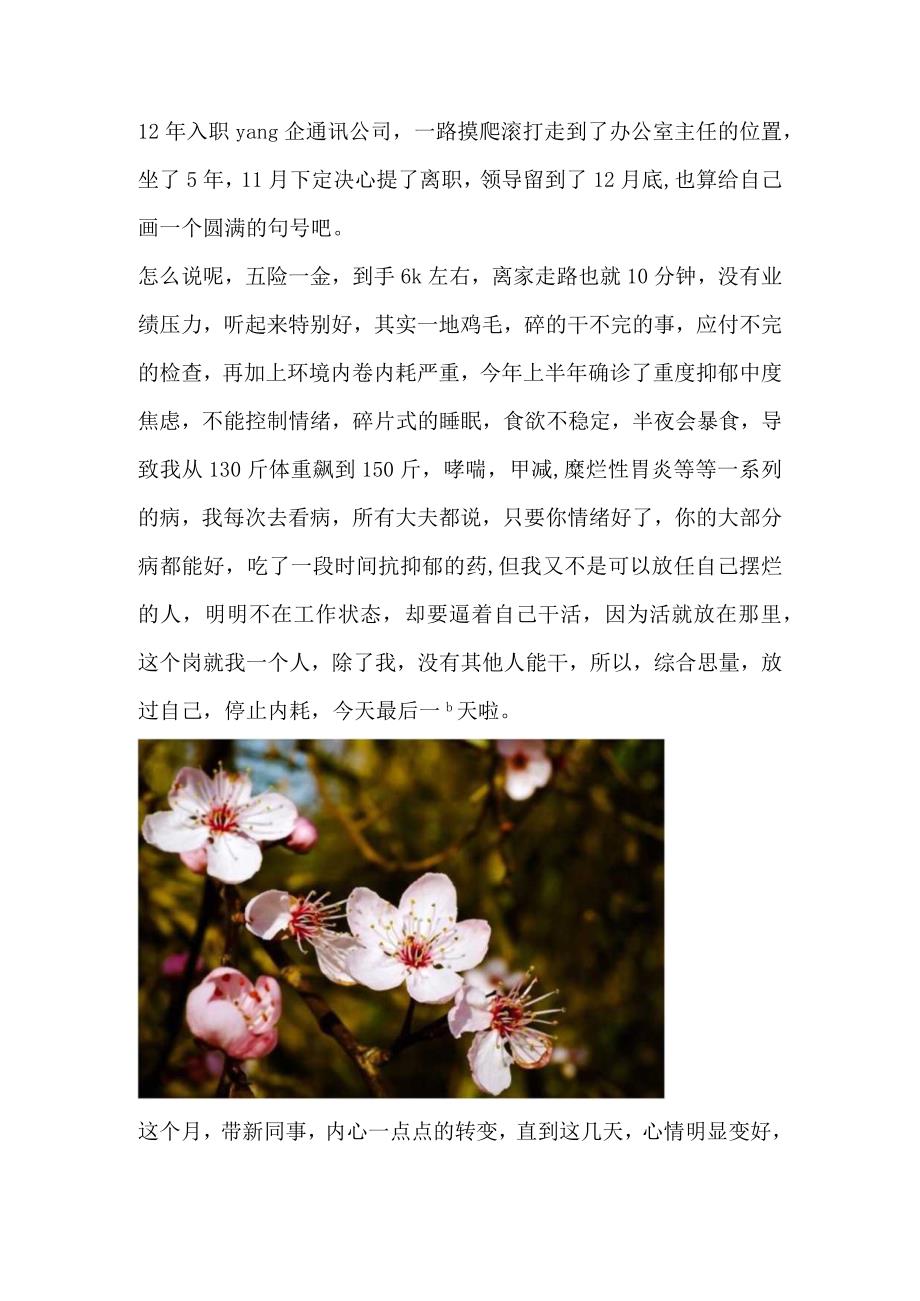 GUO企十年最后一天啦离职快乐.docx_第1页