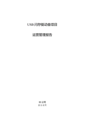 USB闪存驱动器项目运营管理报告.docx