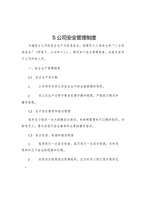 S公司安全管理制度.docx