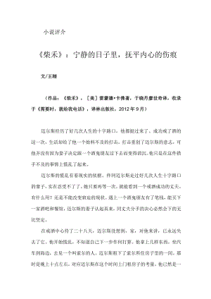 《柴禾》：宁静的日子里抚平内心的伤痕.docx