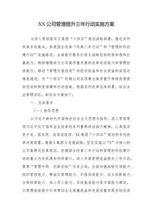 XX公司管理提升三年行动实施方案.docx