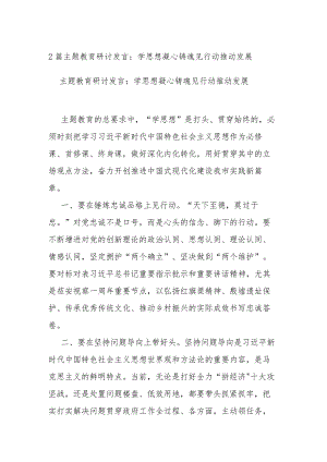 2篇主题教育研讨发言：学思想凝心铸魂见行动推动发展.docx