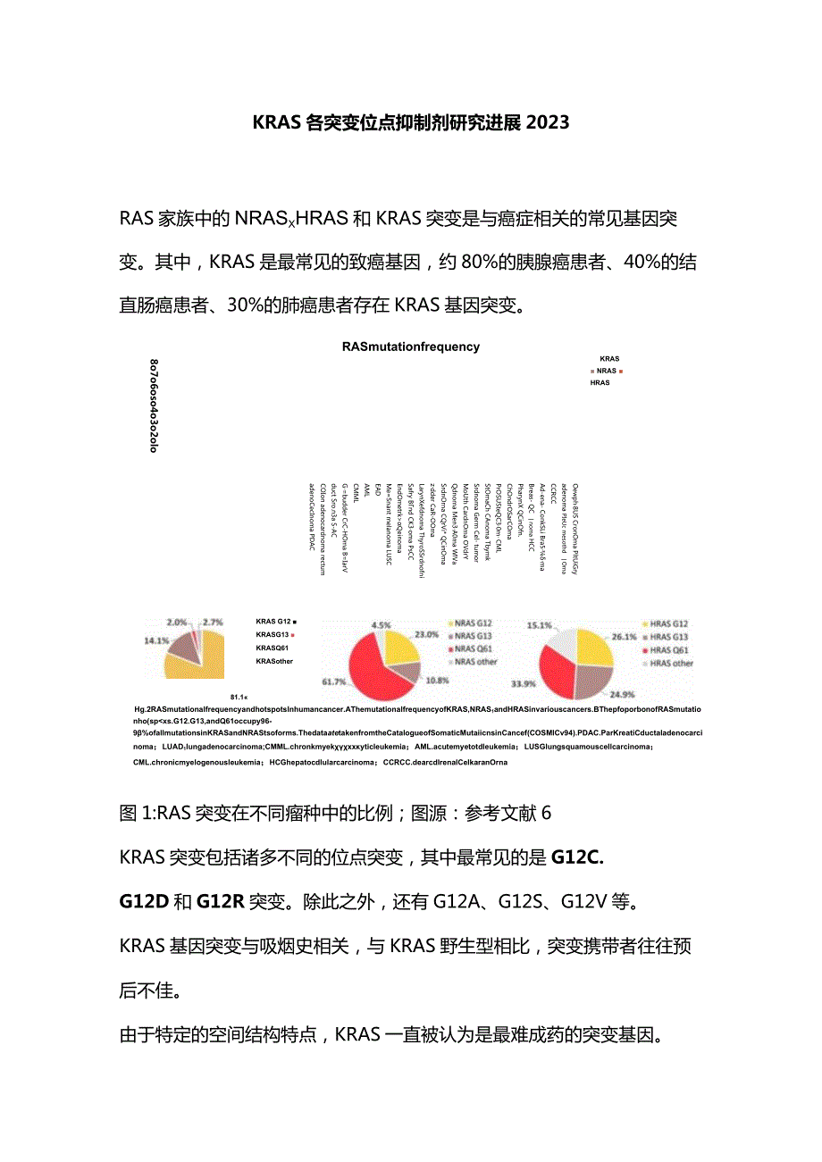 KRAS各突变位点抑制剂研究进展2023.docx_第1页