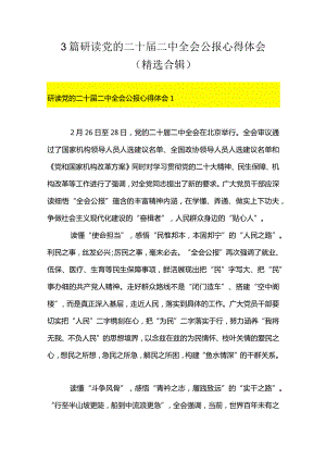 3篇研读党的二十届二中全会公报心得体会（精选合辑）.docx