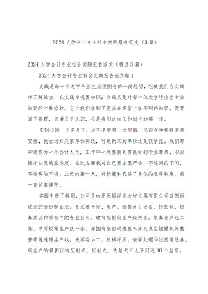 2024大学会计专业社会实践报告范文（3篇）.docx