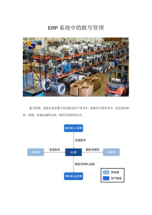 ERP+批号让管理追溯更高效.docx