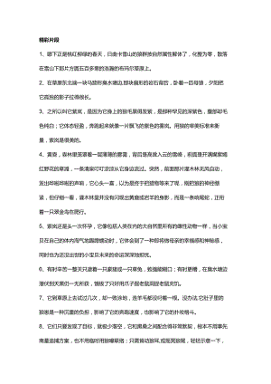 《狼王梦》精彩片段加读后感（共5篇经典文学作品合集）.docx